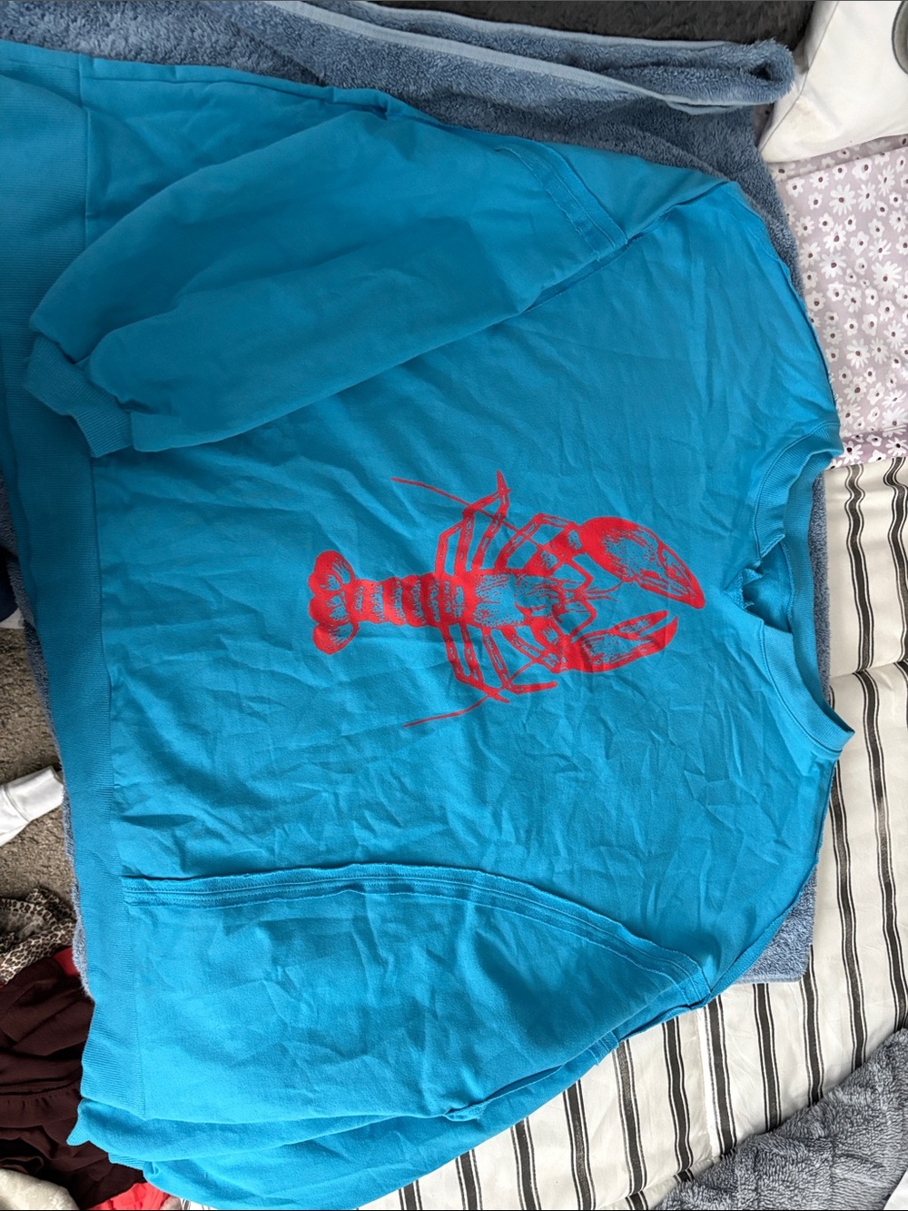 Women’s Oversized Blue Pullover Sweatshirt with Red Lobster Graphic size large